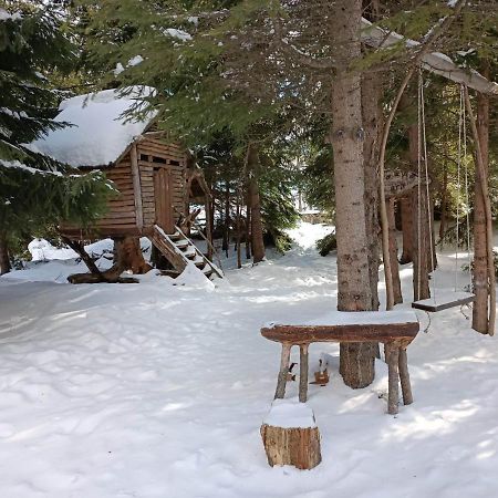 "Моето Любимо Място", Смолянски Езера - "My Favorite Place", Smolyan Lakes المظهر الخارجي الصورة