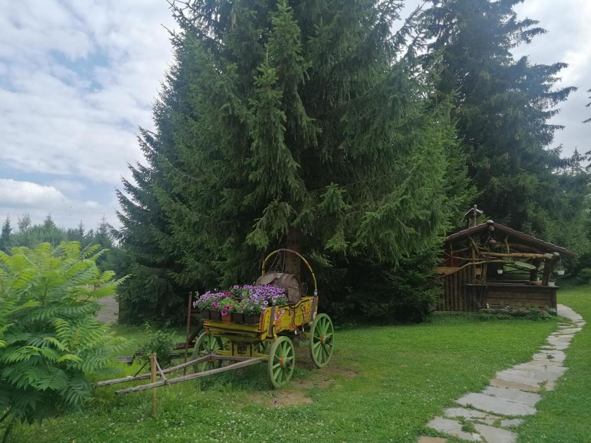 "Моето Любимо Място", Смолянски Езера - "My Favorite Place", Smolyan Lakes المظهر الخارجي الصورة