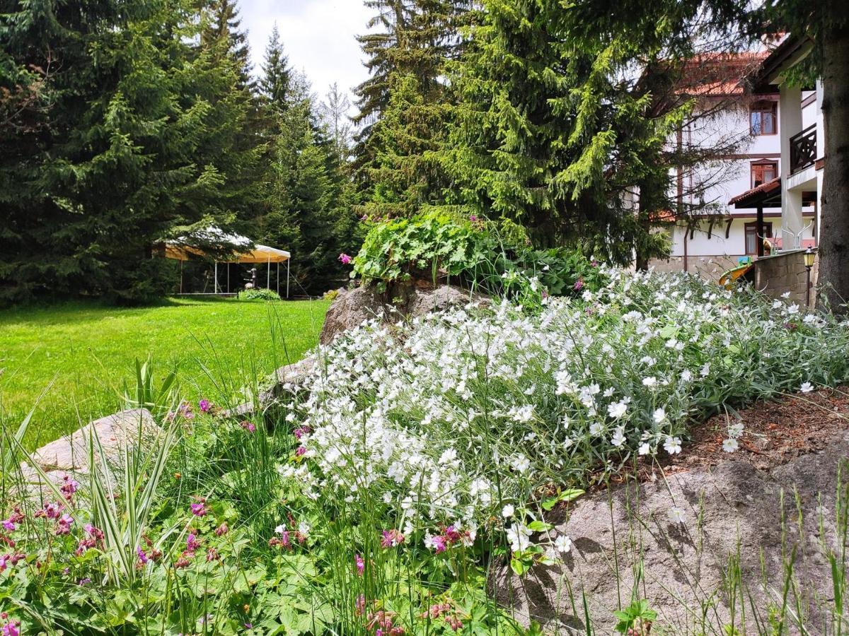 "Моето Любимо Място", Смолянски Езера - "My Favorite Place", Smolyan Lakes المظهر الخارجي الصورة